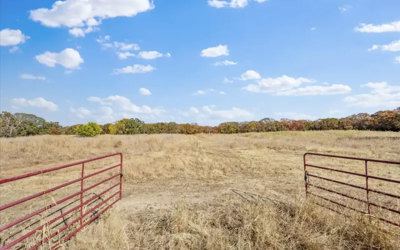 1350, Havana, Kansas 67347, ,Land,For Sale,1350,1134