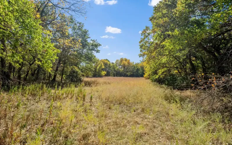 1350, Havana, Kansas 67347, ,Land,For Sale,1350,1134