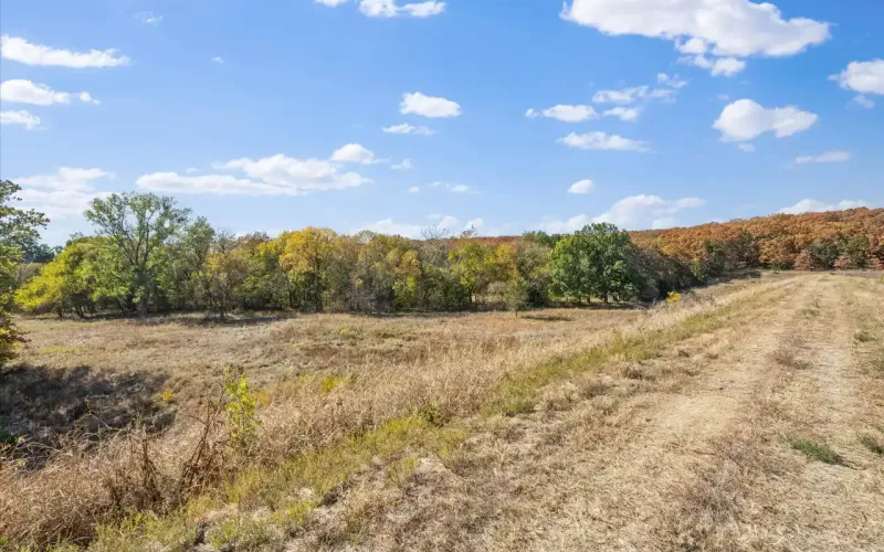 1350, Havana, Kansas 67347, ,Land,For Sale,1350,1134