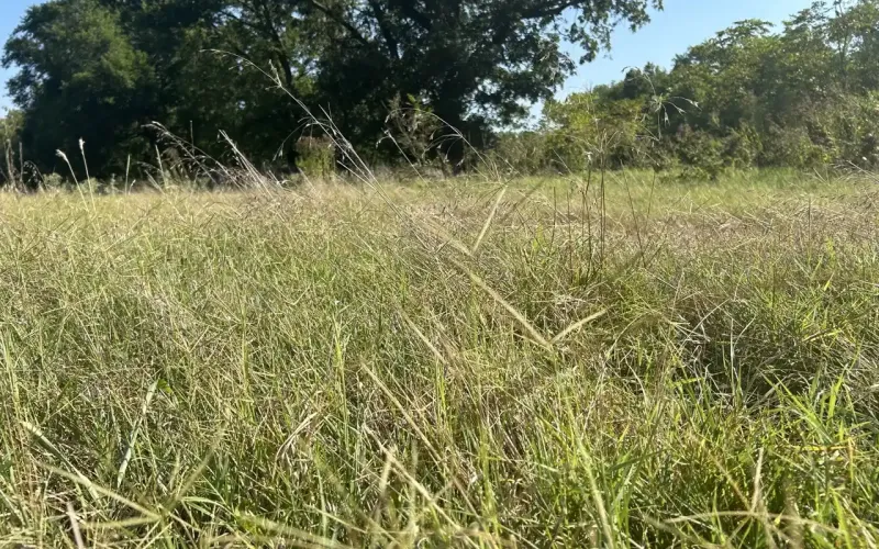 Bartlesville, Oklahoma 74003, ,Land,For Sale,1137