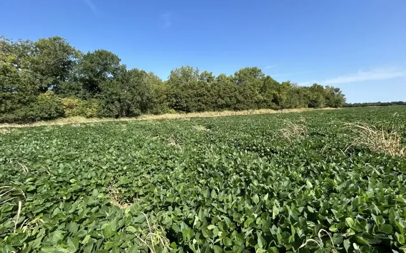 Bartlesville, Oklahoma 74003, ,Land,For Sale,1137