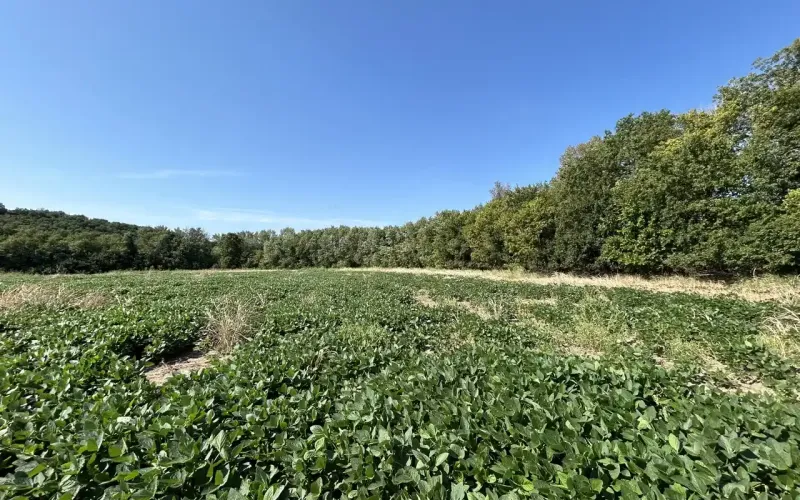 Bartlesville, Oklahoma 74003, ,Land,For Sale,1137