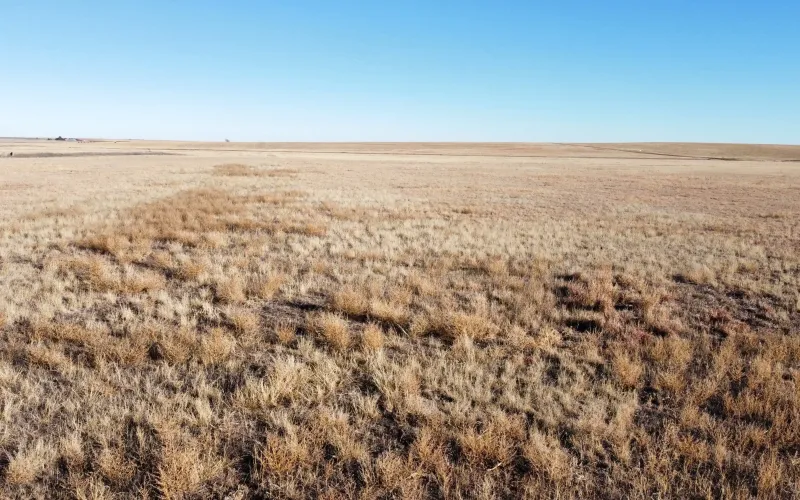 Ironhorse Rd Rd 11, Sharon Springs, Kansas 67762, ,Land,For Sale,Rd 11,1146