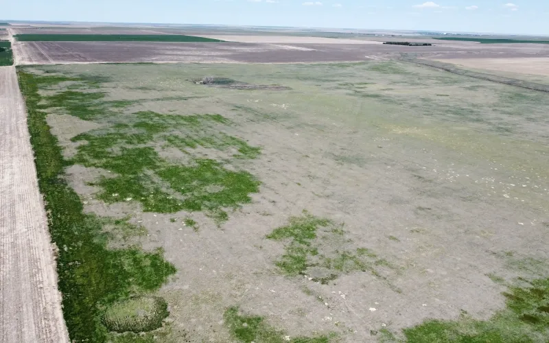 Ironhorse Rd Rd 11, Sharon Springs, Kansas 67762, ,Land,For Sale,Rd 11,1146