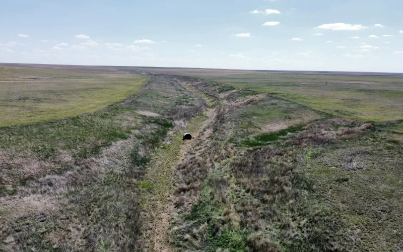 Ironhorse Rd Rd 11, Sharon Springs, Kansas 67762, ,Land,For Sale,Rd 11,1146