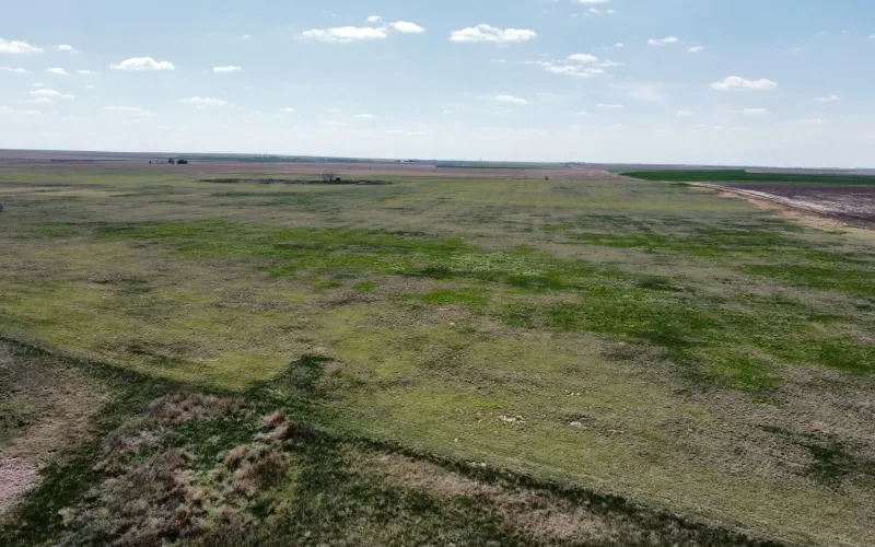 Ironhorse Rd Rd 11, Sharon Springs, Kansas 67762, ,Land,For Sale,Rd 11,1146