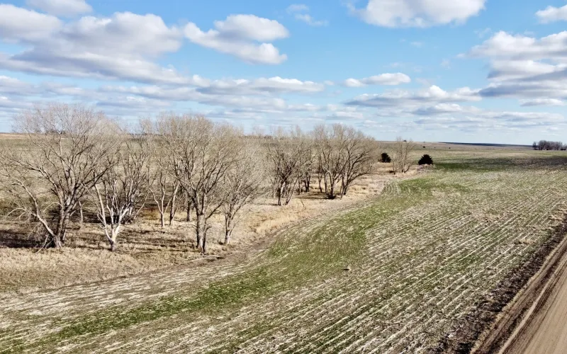 Z RD RD 210, Nekoma, Kansas 67559, ,Land,For Sale,RD 210,1155