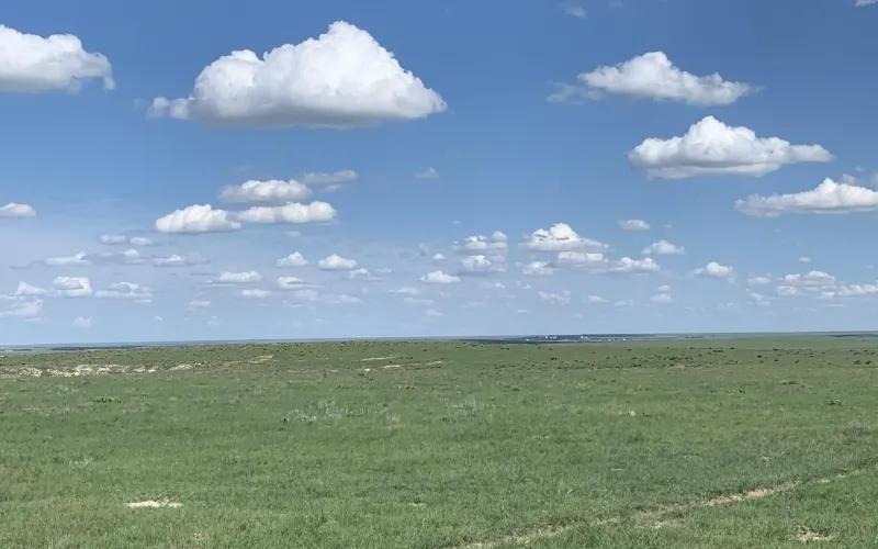 RD 13, Sharon Springs, Kansas 67758, ,Land,For Sale,RD 13,1158