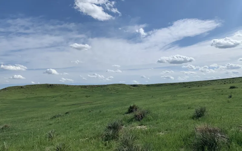 RD 13, Sharon Springs, Kansas 67758, ,Land,For Sale,RD 13,1158