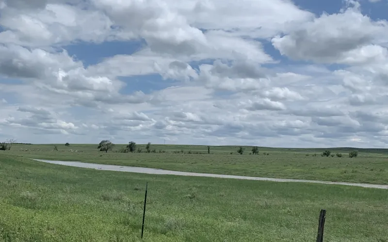RD 13, Sharon Springs, Kansas 67758, ,Land,For Sale,RD 13,1158