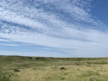 RD 13, Sharon Springs, Kansas 67758, ,Land,For Sale,RD 13,1158