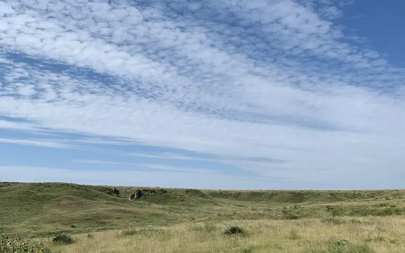 RD 13, Sharon Springs, Kansas 67758, ,Land,For Sale,RD 13,1158