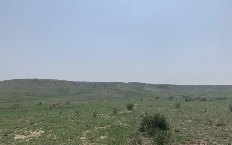 RD 13, Sharon Springs, Kansas 67758, ,Land,For Sale,RD 13,1158
