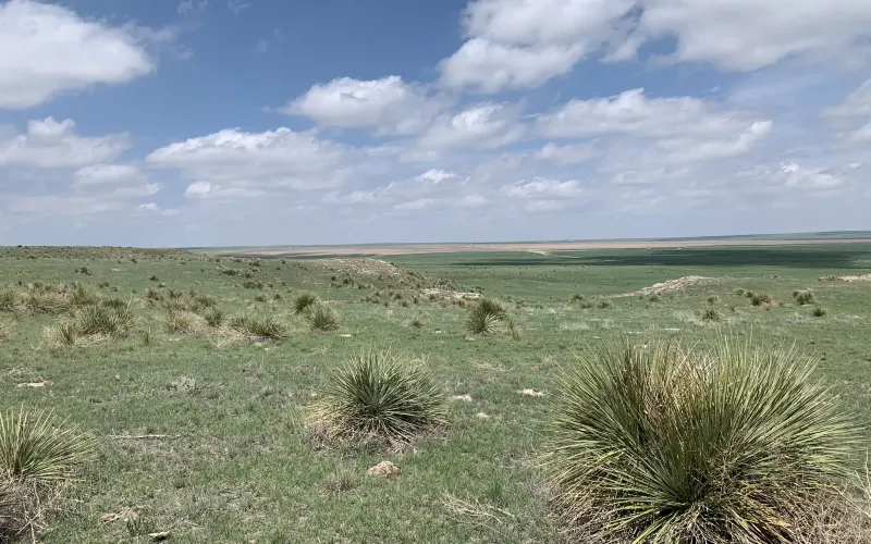 RD 13, Sharon Springs, Kansas 67758, ,Land,For Sale,RD 13,1158