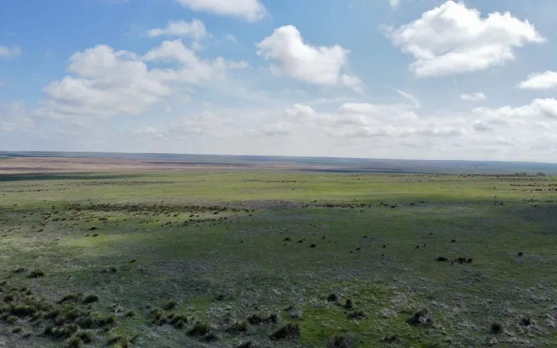 RD 13, Sharon Springs, Kansas 67758, ,Land,For Sale,RD 13,1158