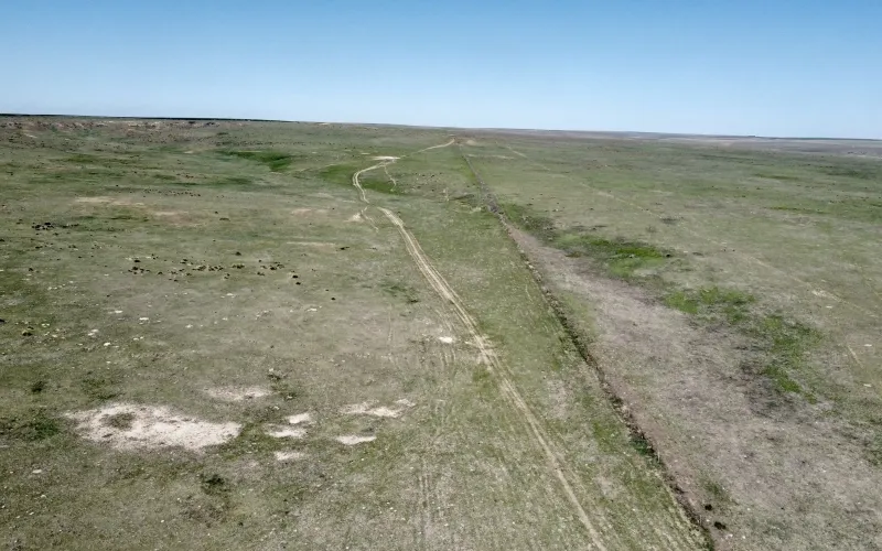 RD 13, Sharon Springs, Kansas 67758, ,Land,For Sale,RD 13,1158
