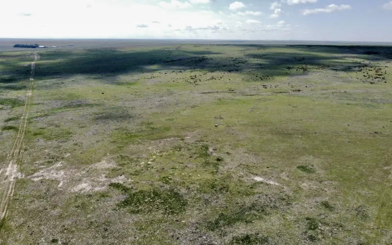 RD 13, Sharon Springs, Kansas 67758, ,Land,For Sale,RD 13,1158