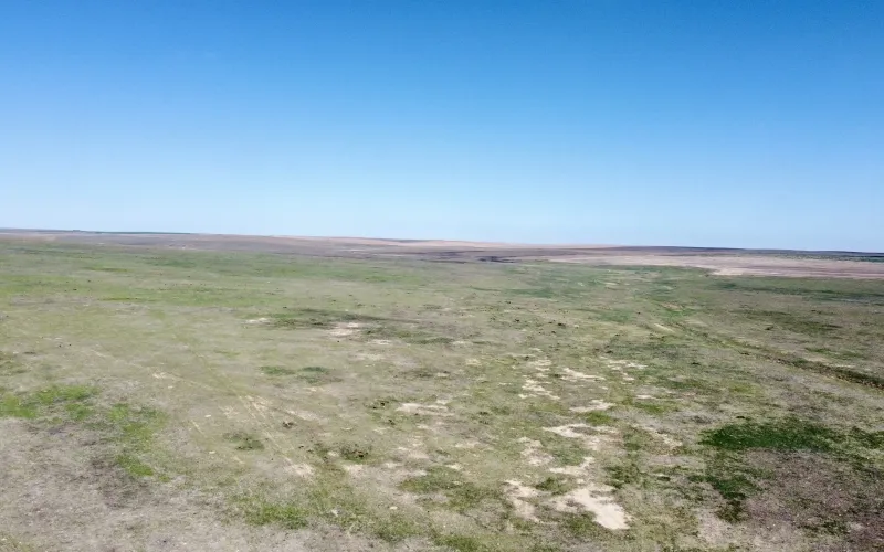 RD 13, Sharon Springs, Kansas 67758, ,Land,For Sale,RD 13,1158