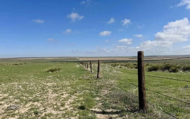 RD 13, Sharon Springs, Kansas 67758, ,Land,For Sale,RD 13,1158