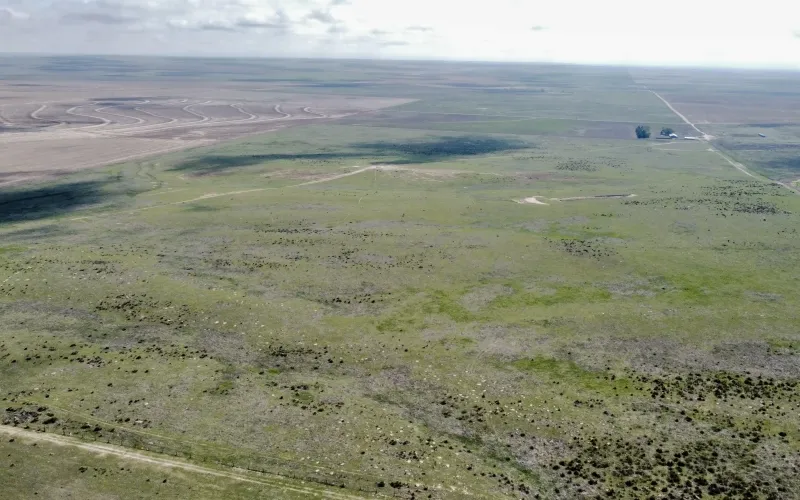 RD 13, Sharon Springs, Kansas 67758, ,Land,For Sale,RD 13,1158