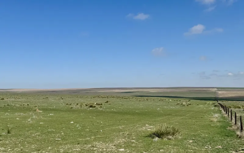 RD 13, Sharon Springs, Kansas 67758, ,Land,For Sale,RD 13,1158