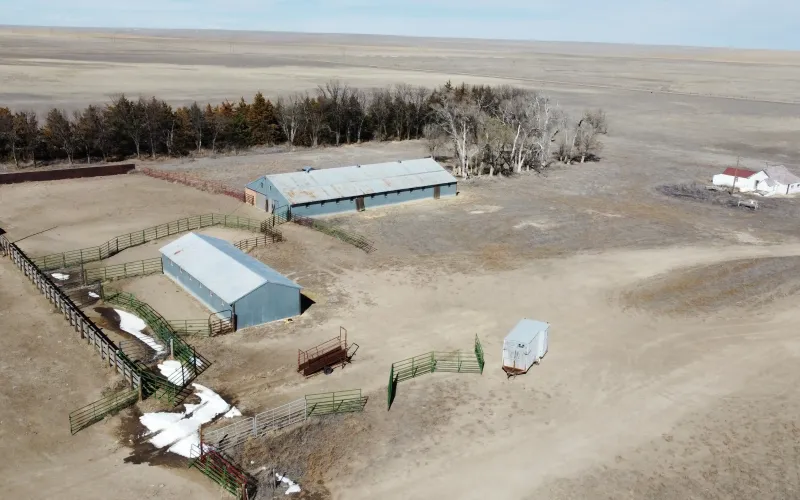 RD 13, Sharon Springs, Kansas 67758, ,Land,For Sale,RD 13,1158