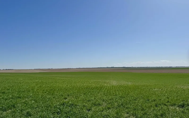 RD 22 RD 67, Goodland, Kansas 67735, ,Land,For Sale,RD 67,1166