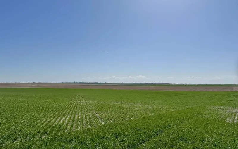 RD 22 RD 67, Goodland, Kansas 67735, ,Land,For Sale,RD 67,1166