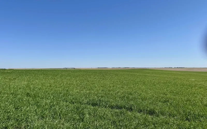 RD 22 RD 67, Goodland, Kansas 67735, ,Land,For Sale,RD 67,1166