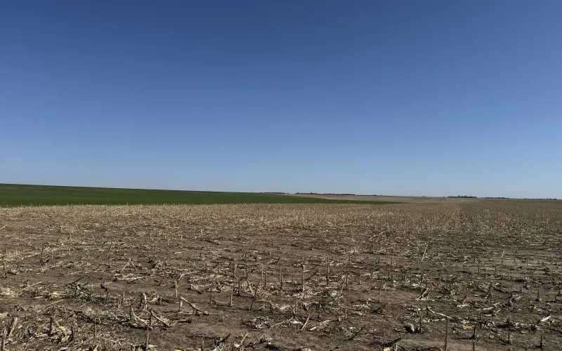 RD 22 RD 67, Goodland, Kansas 67735, ,Land,For Sale,RD 67,1166