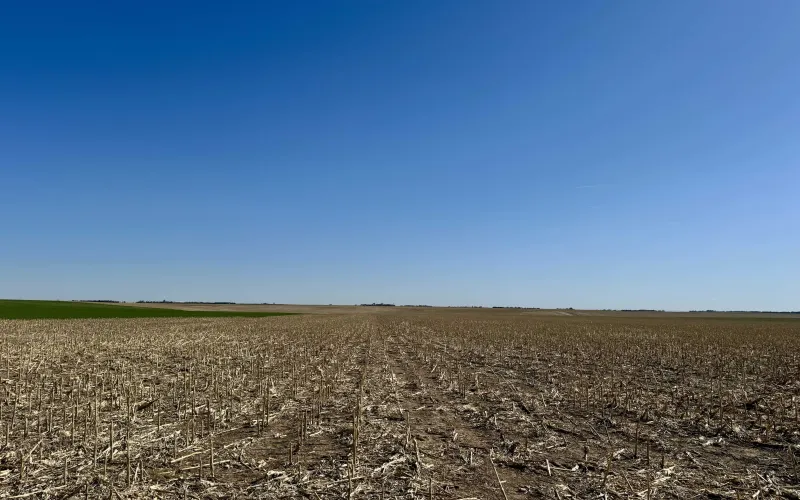 RD 22 RD 67, Goodland, Kansas 67735, ,Land,For Sale,RD 67,1166
