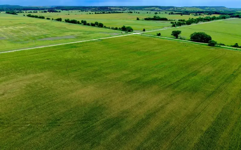 000 CR 1350, Havana, Kansas 67347, ,Land,For Sale,CR 1350,1202