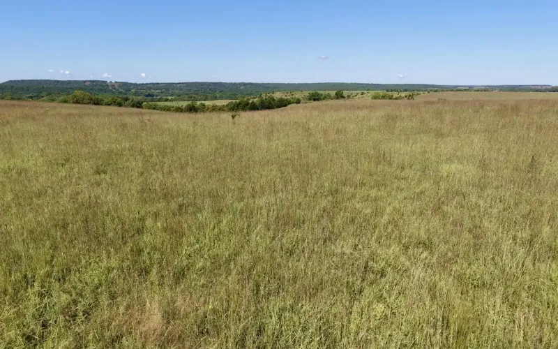 Havana, Kansas 67347, 0 ,Farm,For Sale,0,1213