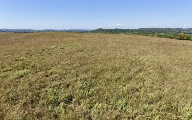 Havana, Kansas 67347, 0 ,Farm,For Sale,0,1213
